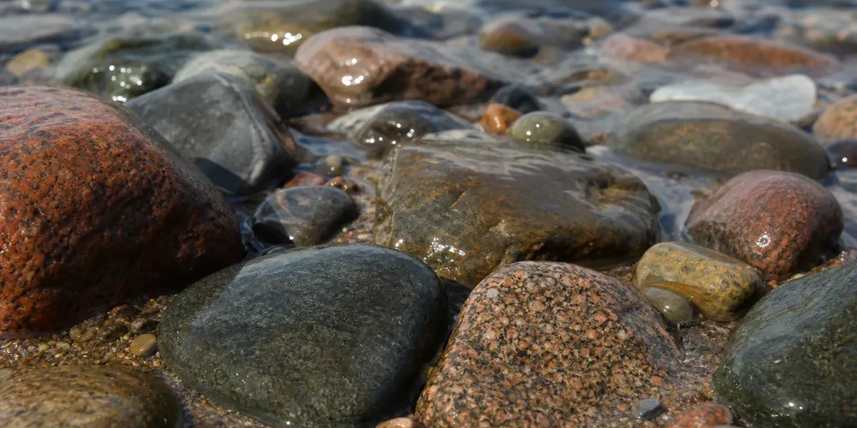 Närbild av blöta strandstenar i strandkanten vid stilla vatten